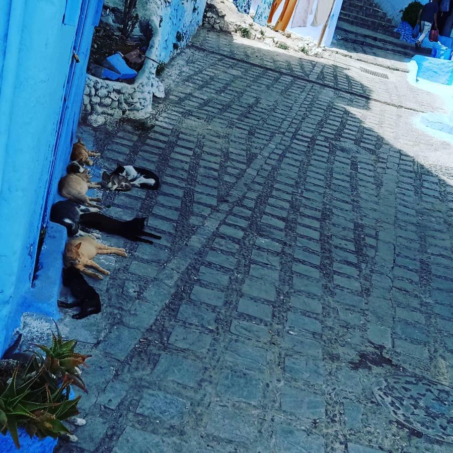 Apartament Casa Mablu Szafszawan Zewnętrze zdjęcie